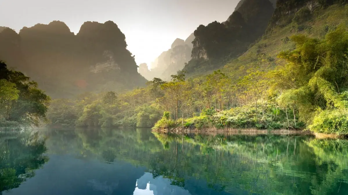 电子智能系统高端